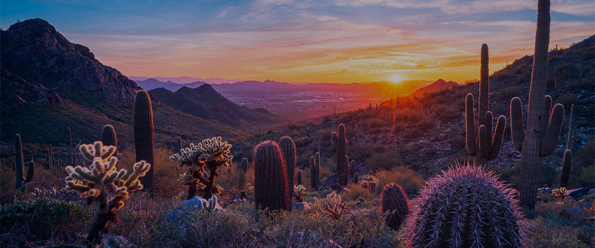 Phoenix-1280x720
