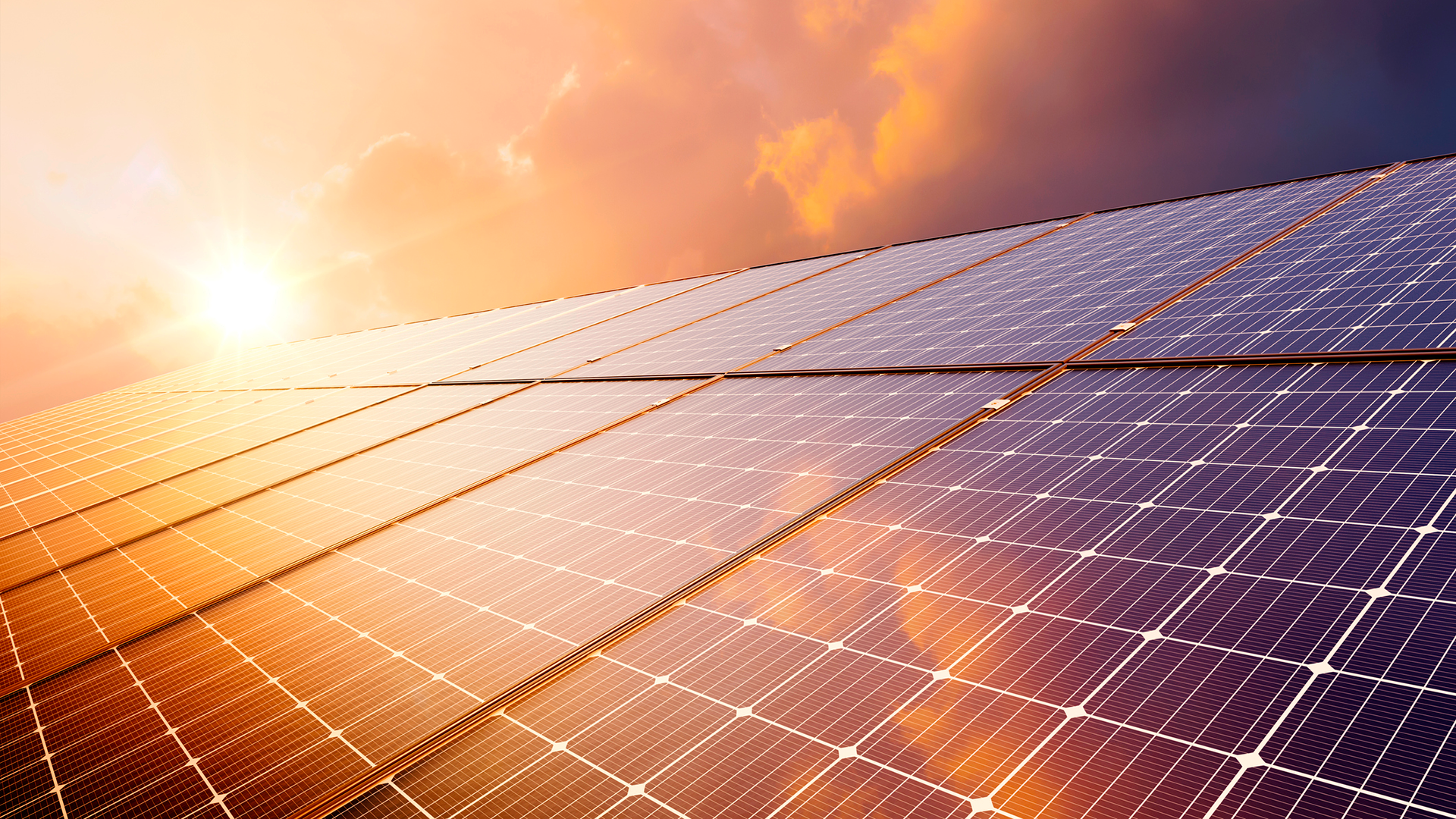 helping-small-businesses-on-their-sustainability-journey