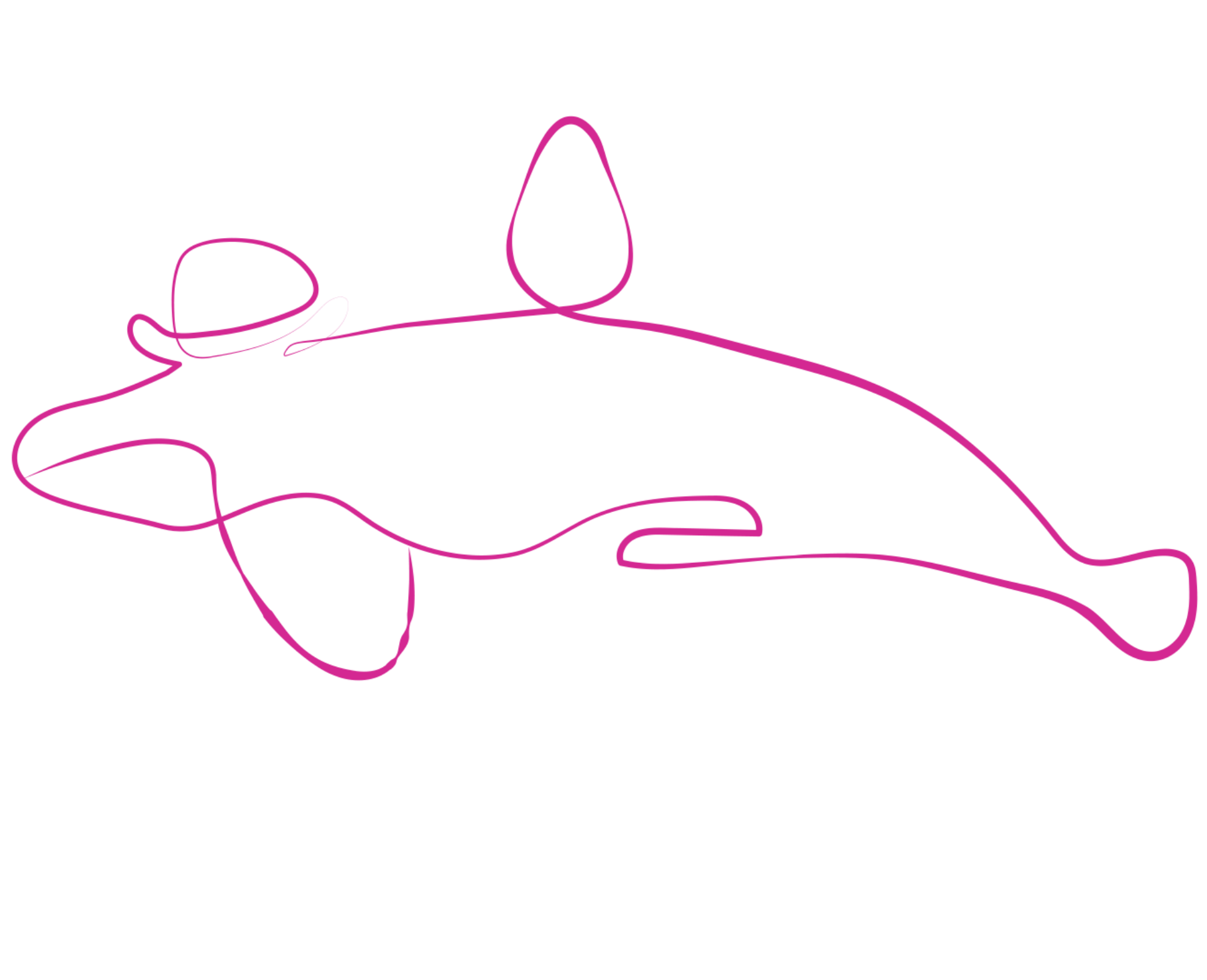 beazley-state-animals-all_Washington-orca
