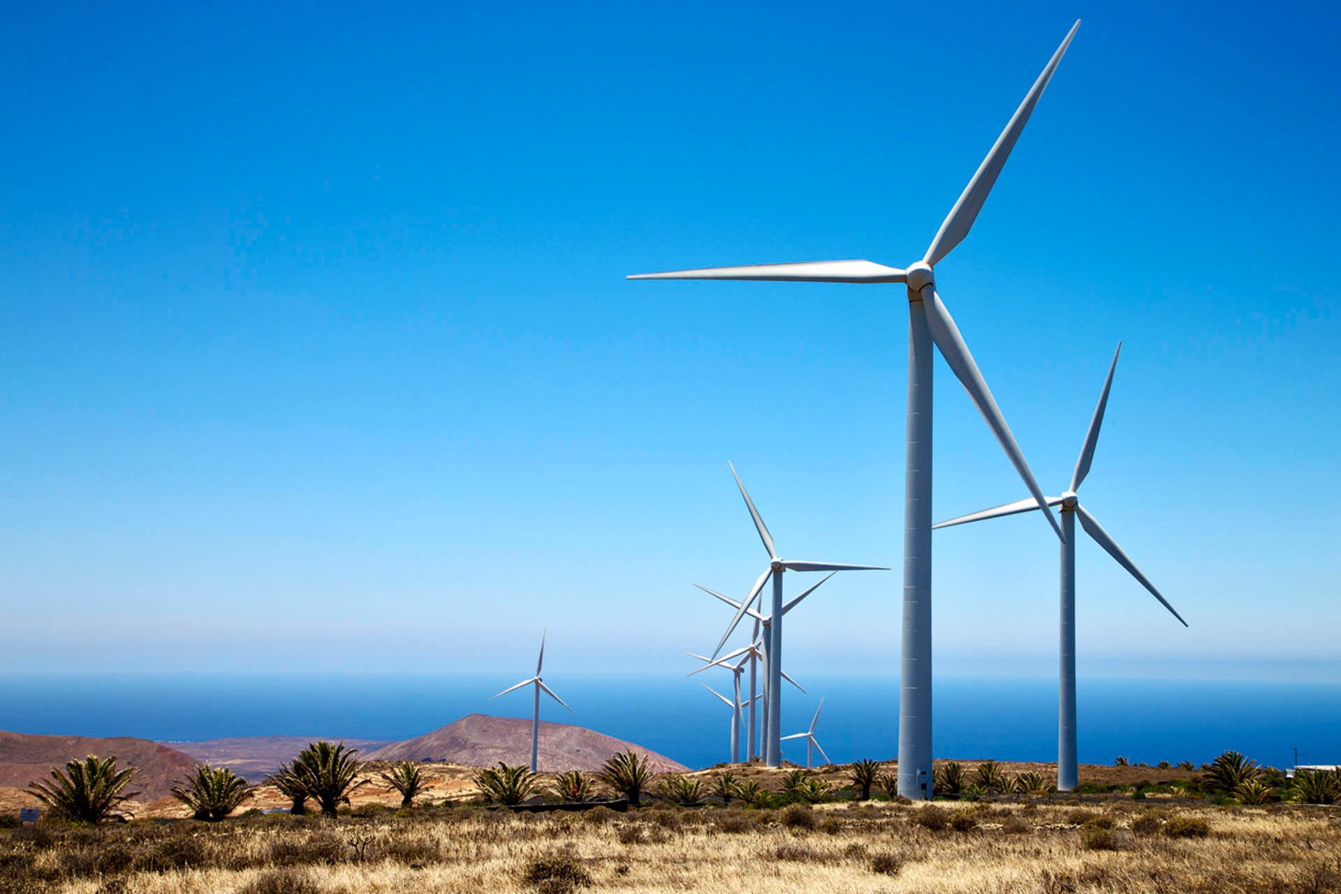 A scenic view of wind turbines in a field, contrasted by a bright blue sea and sky, representing sustainable energy production.