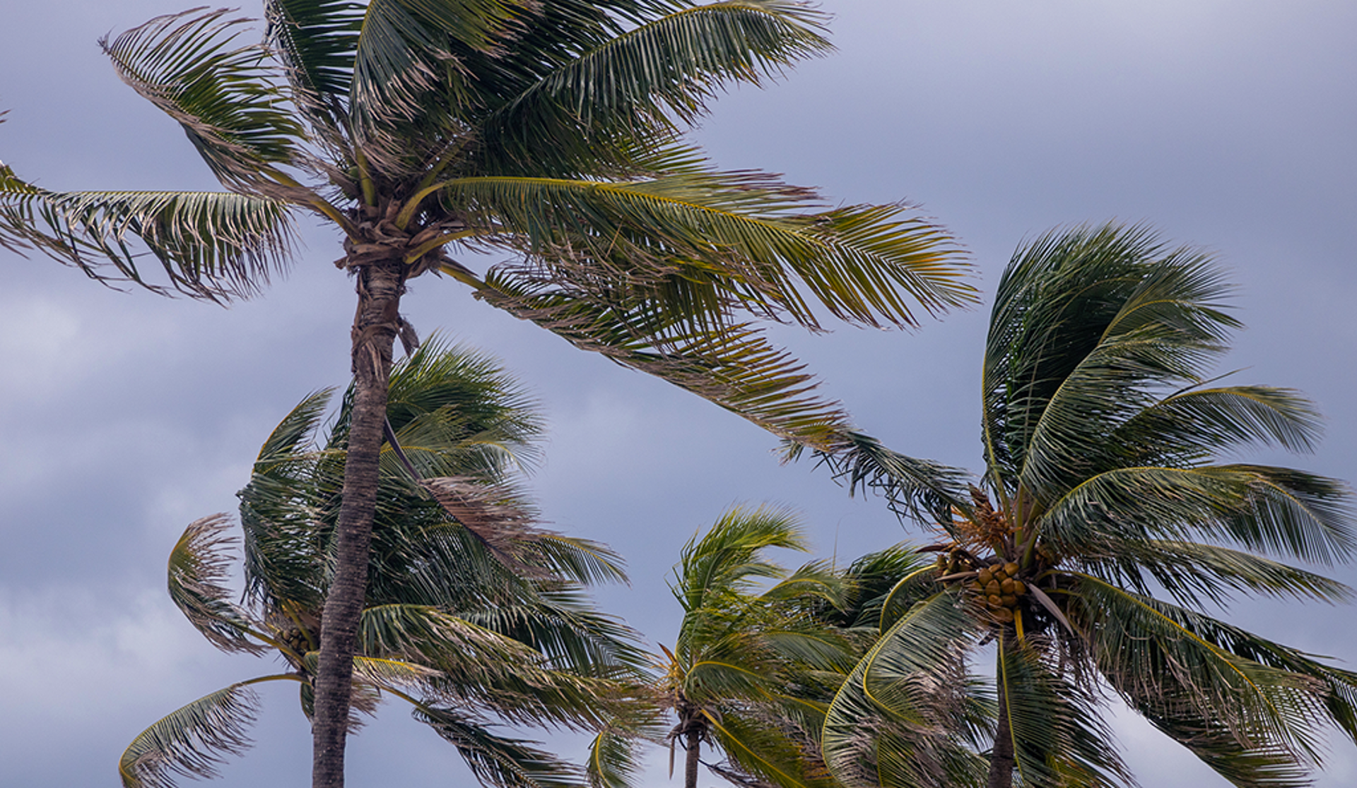 hurricane-img-1024x595 (1)