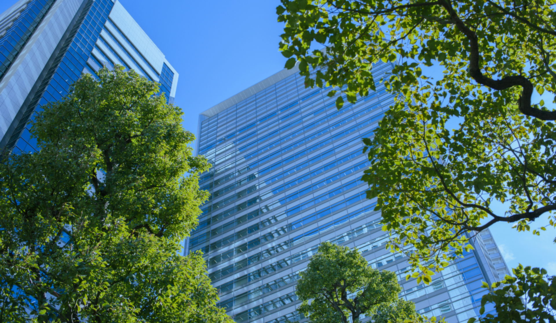 sustainable-business-img-1024x595-v01