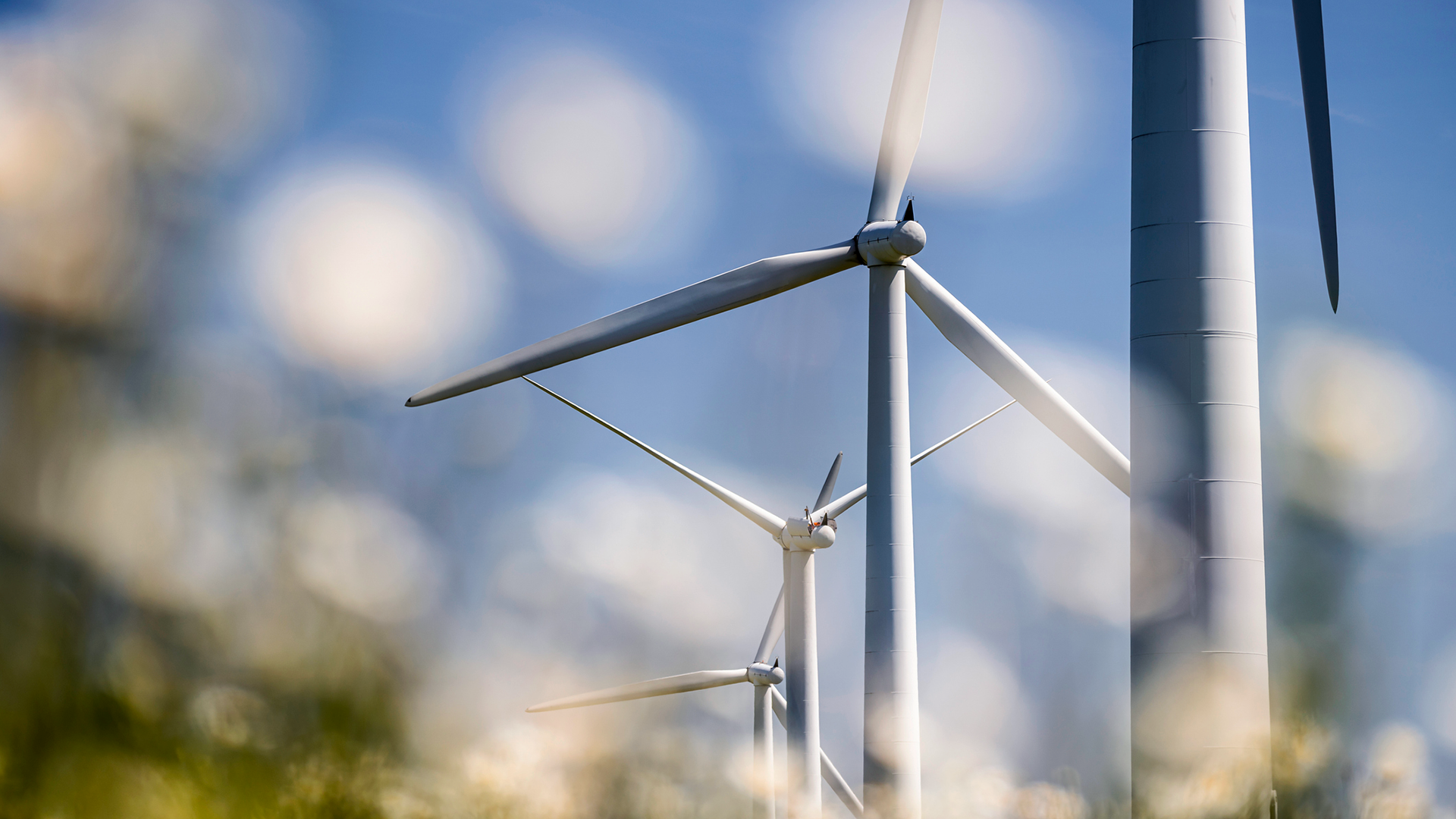 Understanding your carbon footprint