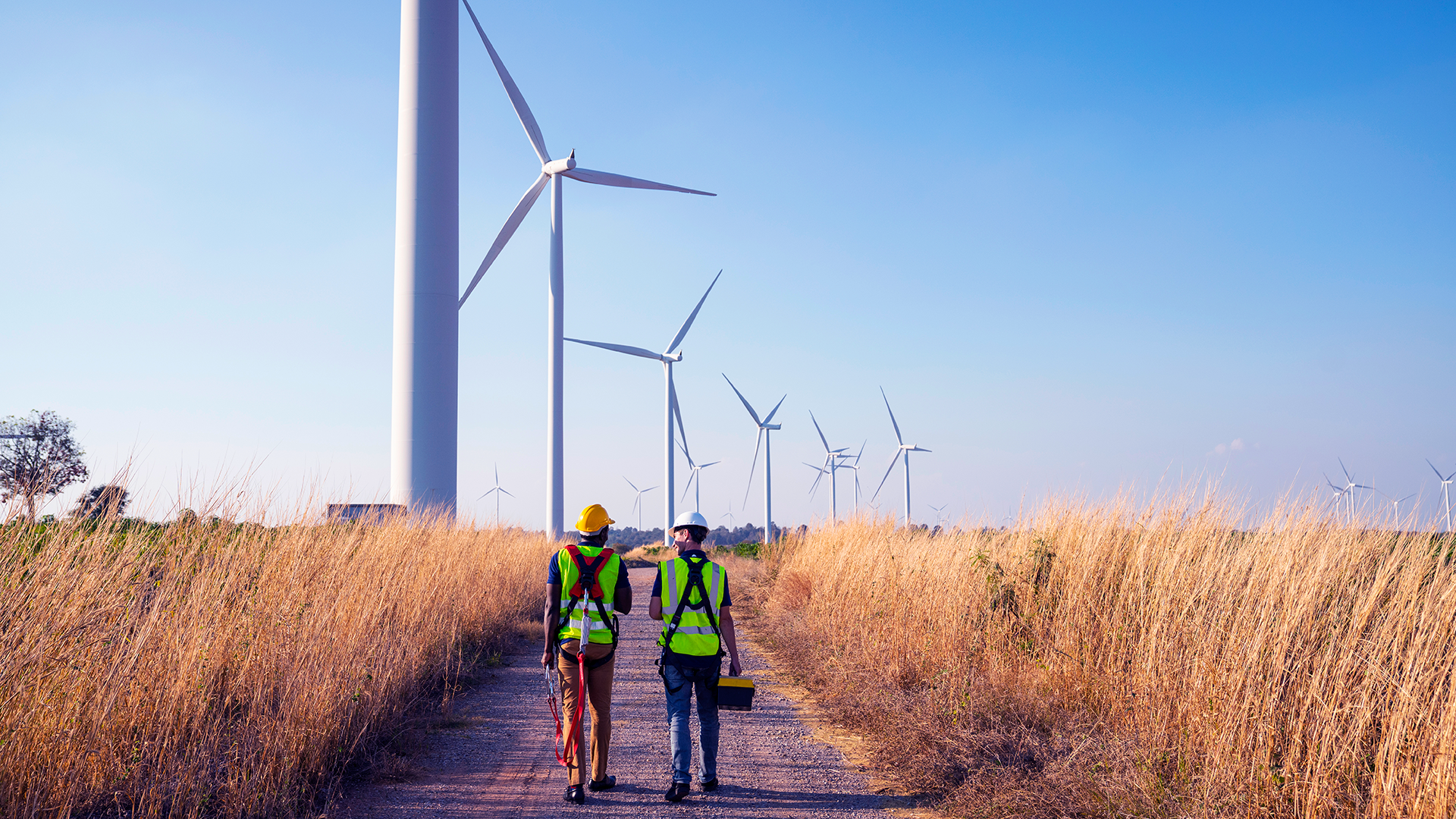 guidetosustainableandethicalsourcing article